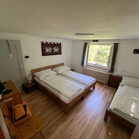 Bristenblick Fluelen Exteriör bild